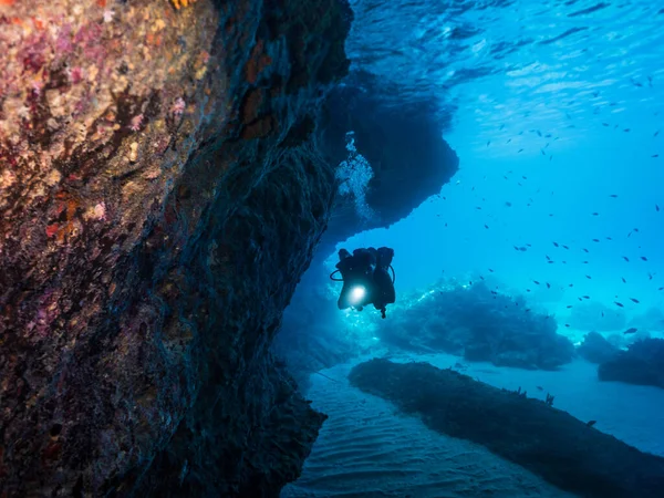 Korallzátony Karib Tengeren Curacao Búvárral Barlangban Blue Room — Stock Fotó