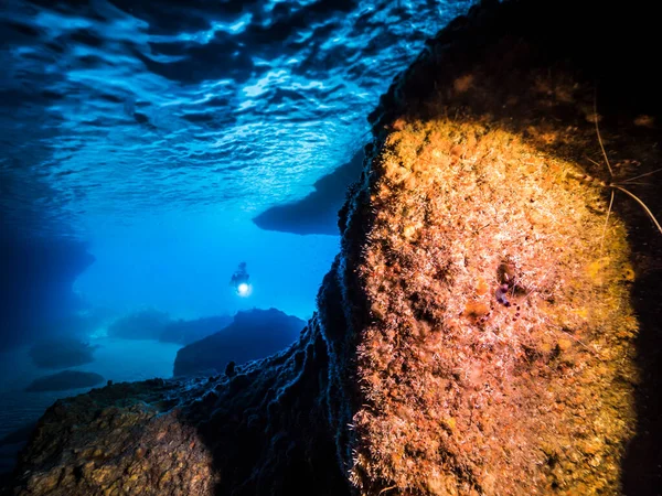 Korallzátony Tengeri Látványa Karib Tengeren Curacao Búvárral Vonóhálós Garnélával Barlangban — Stock Fotó