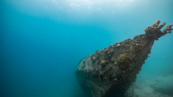 Schiffbruch Türkisfarbenen Wasser Des Korallenriffs Der Karibik Curacao — Stockfoto