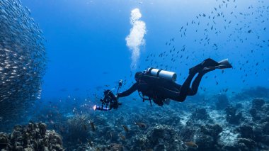 Profesyonel dalgıç / sualtı fotoğrafçısı ve Karayip Denizi / Curacao 'daki mercan resiflerinin turkuaz sularındaki balık topu / okulu