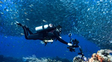 Profesyonel dalgıç / sualtı fotoğrafçısı ve Karayip Denizi / Curacao 'daki mercan resiflerinin turkuaz sularındaki balık topu / okulu