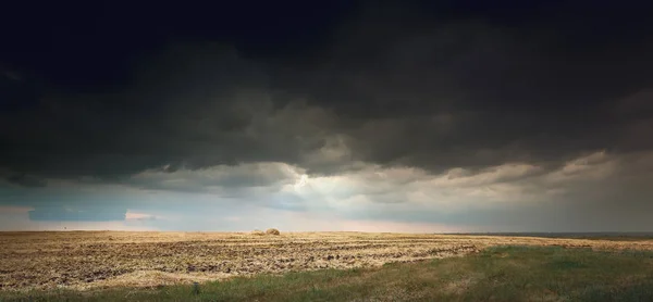 Waiting for a storm in the field, after harvest, the last rays of the sun against the dark sky. Panorama toned photo, selective focus.