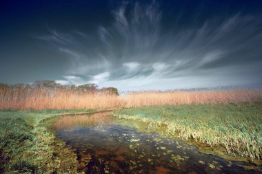 Otantik doğal peyzaj çim ve küçük ama geniş dere akan sazlar arasında ufuk bulutlar gökyüzünde dokun. Renkli bir fotoğraf Güney Rusya'da doğası güzel bir görünümü.