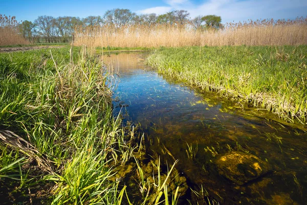 Otantik doğal peyzaj çim ve küçük ama geniş dere akan sazlar arasında ufuk bulutlar gökyüzünde dokun. Renkli bir fotoğraf Güney Rusya'da doğası güzel bir görünümü.