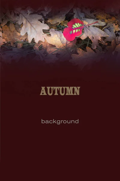 自然秋季背景设计的标志 明信片 封面和菜单 彩色照片 有选择性和软性的重点 — 图库照片