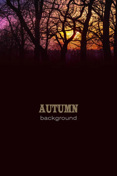 Natürlicher Herbsthintergrund Für Die Gestaltung Von Schildern Postkarten Bannern Covern — Stockfoto