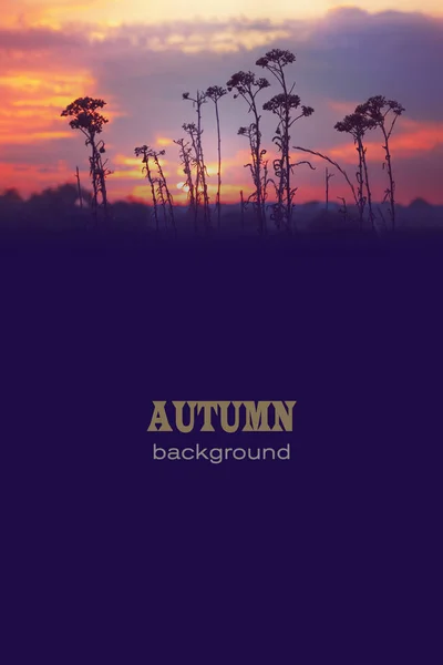 Natuurlijke Herfst Achtergrond Voor Het Ontwerp Van Borden Ansichtkaarten Banners — Stockfoto