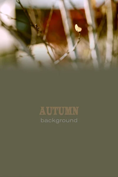 ポストカード バナー カバー メニューのデザインのための自然な秋の背景 写真のテント 選択的かつソフトフォーカス — ストック写真