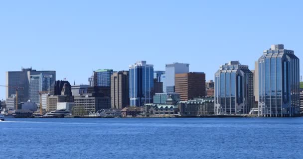 Skyline Halifax Nova Scotia — Wideo stockowe