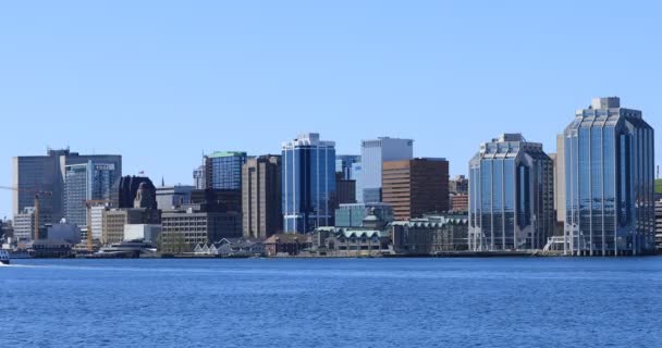 Skyline Von Halifax Nova Scotia — Stockvideo