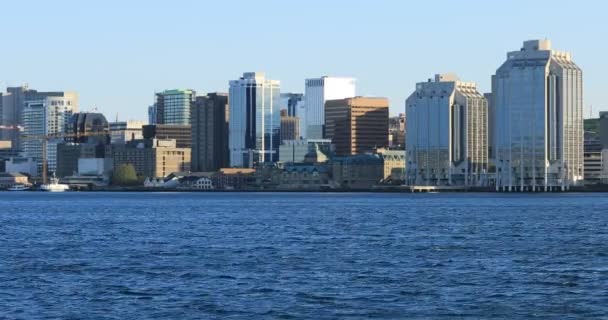 Halifax Nova Scotia Skyline Clear Day — Stock Video