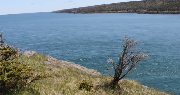 Rip Tide Nella Baia Fundy Nuova Scozia — Video Stock
