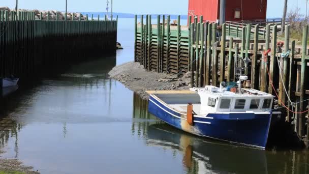 Timelapse Une Grande Marée Halls Harbour Nouvelle Écosse — Video