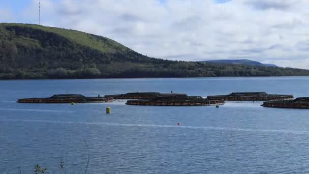 Timelapse Salmon Farming Digby New Scotia — стоковое видео