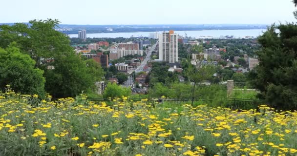 フォア グラウンド で花とカナダ ハミルトン市内中心部 — ストック動画