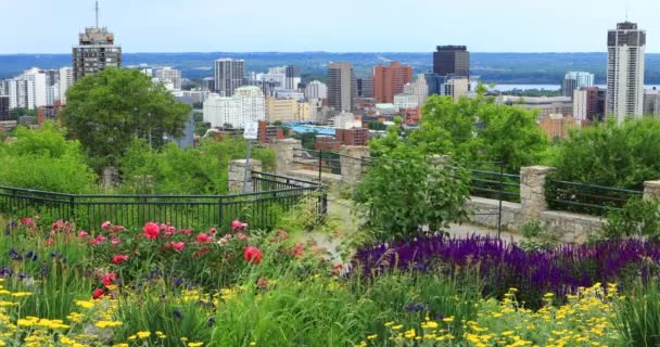 Vista Hamilton Canadá Centro Ciudad Con Flores Frente — Vídeo de stock