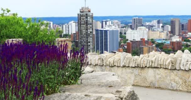 Hamilton Kanada Manzarası Ile Sahne Önünde Çiçekler — Stok video