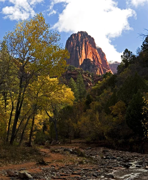 Vue Ruisseau Taylor Dans Parc National Zion Utah — Photo