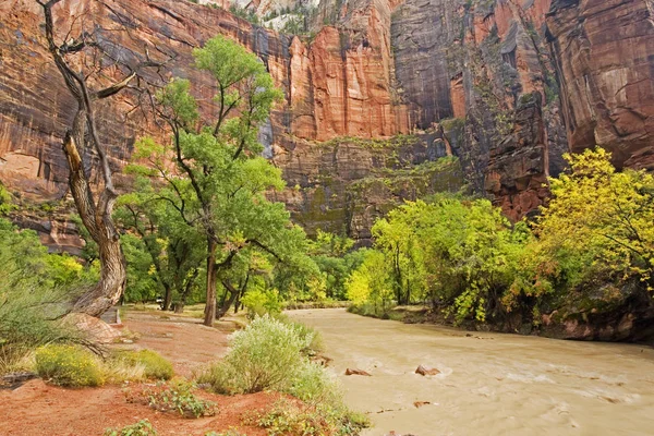 Templo Sinawava Parque Nacional Zion Utah —  Fotos de Stock