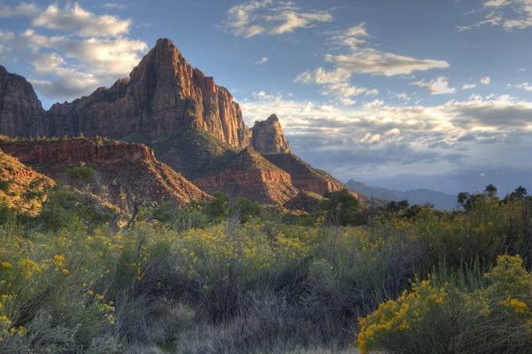 Över Watchman Zion National Park Utah Med Blommor — Stockfoto