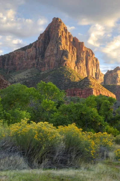 Vertical Vigilante Parque Nacional Zion Utah Con Flores — Foto de Stock