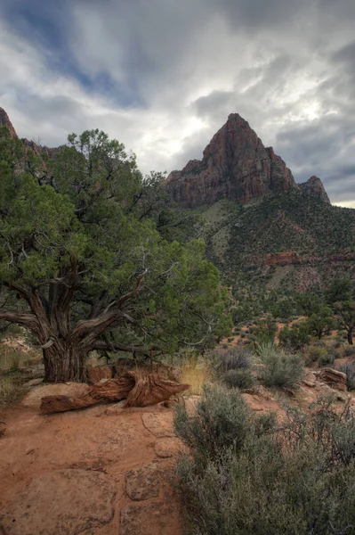 Een Verticale Van Poortwachter Nationaal Park Zion Utah — Stockfoto