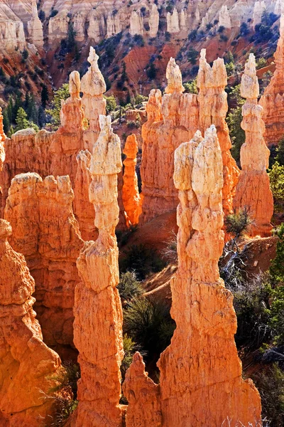 Der Fairyland Canyon Zion Nationalpark Utah — Stockfoto