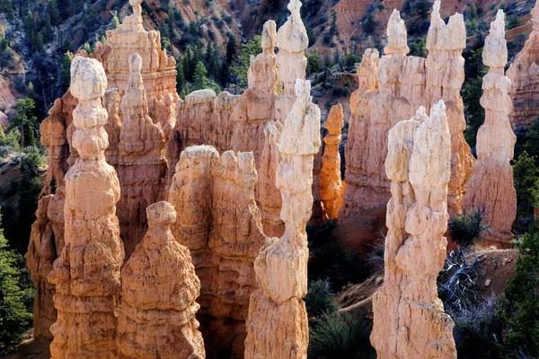 Das Fairyland Canyon Gebiet Des Zion Nationalparks Utah — Stockfoto