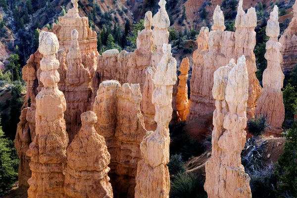 Казкова Каньйон Площі Сіону Національний Парк Штат Юта — стокове фото