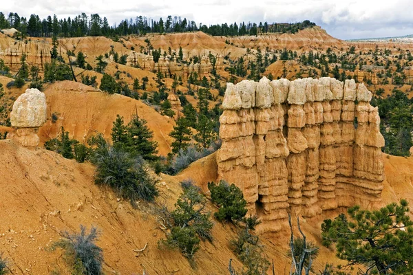 Area Del Fairyland Canyon Nel Parco Nazionale Zion Utah — Foto Stock