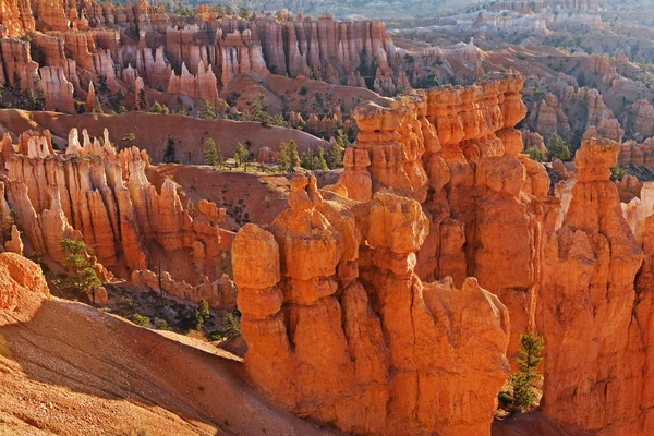 Sendero Navajo Parque Nacional Zion Utah — Foto de Stock