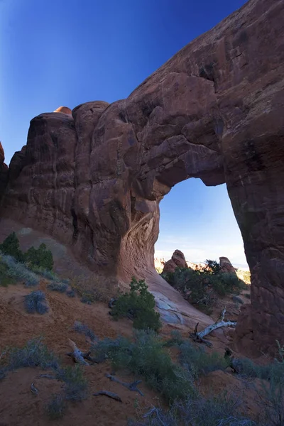 Pine Tree Arch Arches National Park Юта — стоковое фото