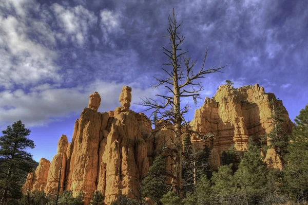 Área Nacional Conservación Del Cañón Red Rock Utah — Foto de Stock