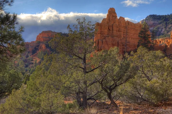 Red Rock Canyon National Conservation Área Utah Hermoso Día — Foto de Stock