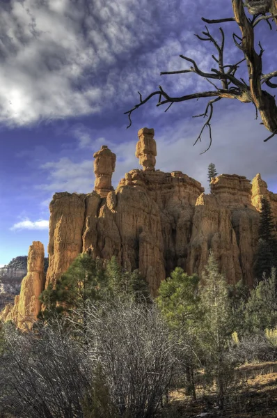 Vertical Red Rock Canyon National Conservation Área Utah —  Fotos de Stock