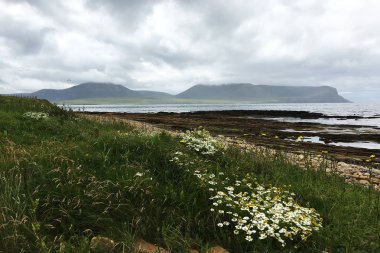 Warbeth Hoy Orkney içinde doğru çiçeklerle arıyorsunuz Bay