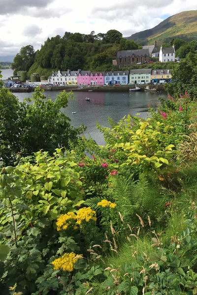 花の前にスカイ島 スコットランドで垂直のポートリー — ストック写真