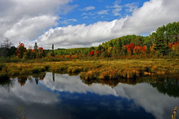 アルゴンキン カナダの秋の色の反射のビュー — ストック写真