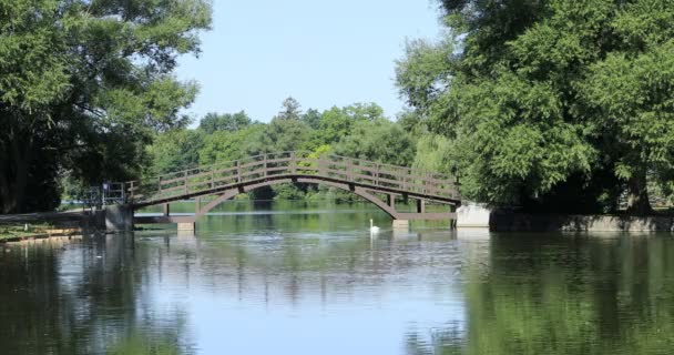 Stratford Canada Vue Sur Rivière Avon Pont — Video