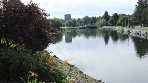 Timelapse Wellington Park Simcoe Ontario — Stock Video