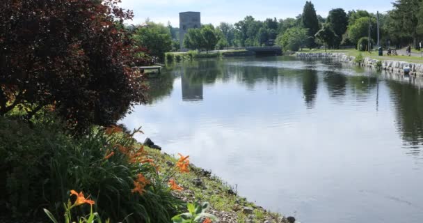 Веллінгтон Парку Симко Онтаріо — стокове відео
