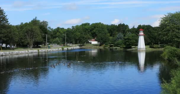 シムコー カナダ でウェリントン公園の眺め — ストック動画