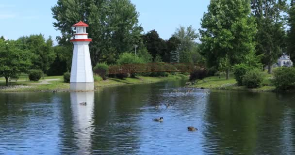 Wellington Park Simcoe Ontario Con Faro — Vídeos de Stock