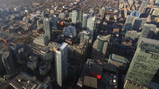 Timelapse Aerial View Toronto Night — Stock Video