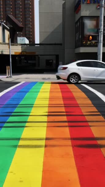 Cinemagraph Looped Vertical Crosswalk Hamilton Ontario Canada — Stock Video