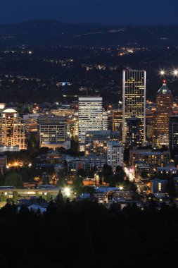 Portland, Oregon dikey hava gece görünümü