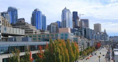 Seattle, Washington liman alanı 4k sahne