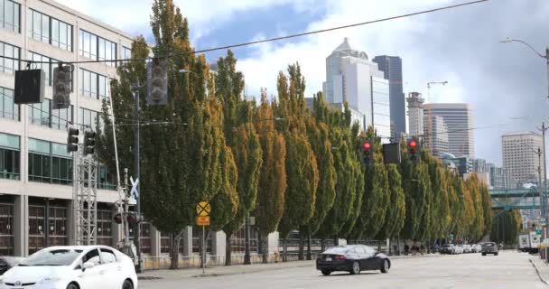 Vista Seattle Área Del Puerto Washington — Vídeos de Stock