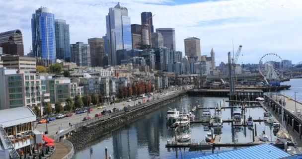 Blick Seattle Washington Harbour Area — Stockvideo