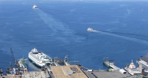 Seattle Washington Ferry Terminal Met Ferries — Stockvideo